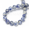 Natural Blue Spot Jasper Bead Strands X-G-R193-15-6mm-4