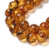 Natural Amber Beads Strands G-K387-D02-02-3