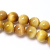 Natural Gold Tiger Eye Beads Strands G-C076-12mm-1AA-1