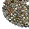 Natural Lodolite Quartz Beads Strands G-K389-A24-01-3