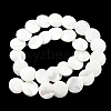 Natural Trochid Shell/Trochus Shell Beads Strands SSHEL-R145-03-3