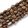 Natural Picture Jasper Beads Strands LS-G-G146-A01-01-1