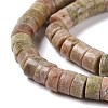 Natural Unakite Beads Strands G-C240-05-4