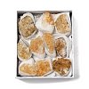 Natural Citrine Display Decorations G-H084-02B-1