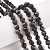 Natural Syenite Beads Strands G-T138-219-1