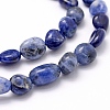 Natural Sodalite Beads Strands G-K230-04B-3