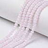 Glass Beads Strands EGLA-A044-J6mm-D02-1