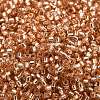 Glass Seed Beads X-SEED-S042-04B-17-3