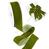20 Yards Single Face Velvet Ribbons SRIB-WH0031-06A-1
