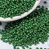 MIYUKI Round Rocailles Beads X-SEED-G008-RR0431-1