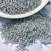MIYUKI Delica Beads SEED-X0054-DB1770-1