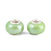 Handmade Porcelain European Beads OPDL-G001-9-1