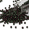 TOHO 6/0 Round Beads X-SEED-TR06-2204-1