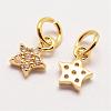 Brass Micro Pave Grade AAA Cubic Zirconia Charms ZIRC-G090-17G-NR-1