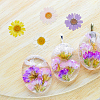 HOBBIESAY 80Pcs 8 Colors Pressed Dried Flowers DIY-HY0001-73-4