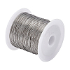 BENECREAT 1 Roll Tiger Tail Wire TWIR-BC0001-36C-1