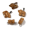 Natural Picture Jasper Pendants G-B127-02P-04-1