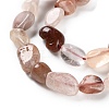 Natural Gemstone Beads Strands G-P497-01C-29-4