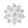 Alloy Rhinestone Brooch for Backpack Clothes PW-WG7E9AC-02-1