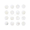 Natural Shell Beads Strands SSHEL-CJ0001-09-1