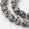 Natural Dalmatian Jasper Bead Strands G-G735-68F-8mm-3