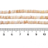 Natural Freshwater Shell Beads Strands SHEL-P017-01B-10-4