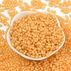 Baking Paint Glass Seed Beads SEED-L011-09A-04-2