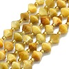 Natural Tiger Eye Beads Strands G-I376-B17-01-1