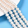 Natural Cultured Freshwater Pearl Beads Strands PEAR-N016-09D-2