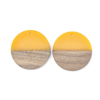 Resin & Walnut Wood Pendants RESI-T023-10A-1
