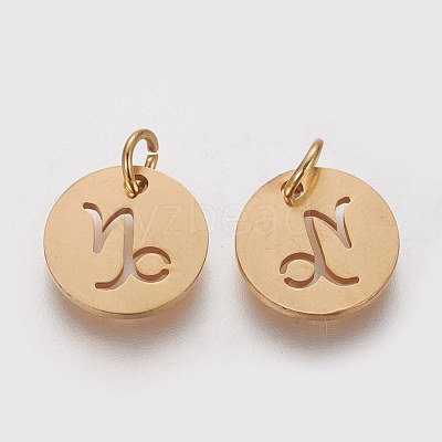304 Stainless Steel Charms STAS-Q201-T445-10G-1