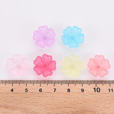 Transparent Frosted Acrylic Bead Caps MACR-S371-04A-1
