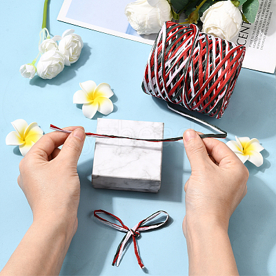 Segment Dyed Raffia Paper Cords for DIY Craft OCOR-WH20020-27E-1