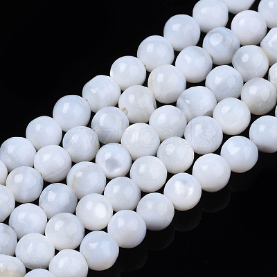 Natural Freshwater Shell Beads Strands SHEL-N003-24-A01-1