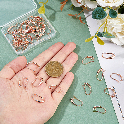 40Pcs Brass Earring Hooks KK-FH0007-64G-1