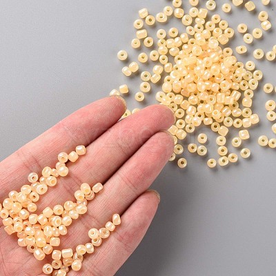 (Repacking Service Available) Glass Seed Beads SEED-C020-4mm-142-1