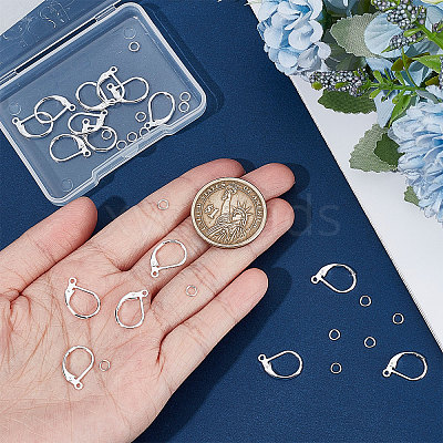 20Pcs 2 Style Brass Leverback Earring Findings with Loop DIY-BBC0001-02S-1