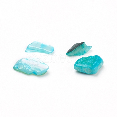 Natural Freshwater Shell Beads X-BSHE-I011-03B-1