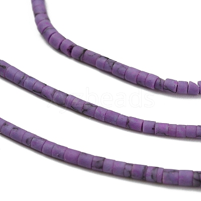 Dyed Synthetic Turquoise Beads Strands G-P594-01A-03-1