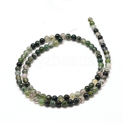 Natural Moss Agate Round Bead Strands G-P072-01-4mm-1