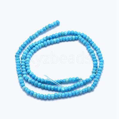 Dyed & Heated Natural Howlite Beads Strands X-G-G768-03-1