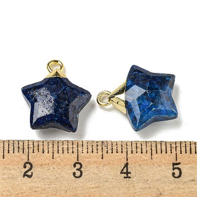 Natural Sesame Jasper Imitation Lapis Lazuli Pendants G-P540-01G-04-1-1