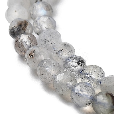 Natural Labradorite Beads Strands G-I341-11-1