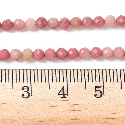 Natural Rhodonite Beads Strands G-P553-G06-02A-1