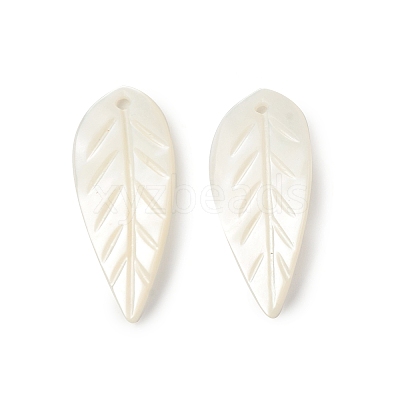 Natural Sea Shell Pendants SSHEL-T012-12-1