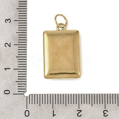 Baking Paint 304 Stainless Steel Pendants STAS-C178-01C-1