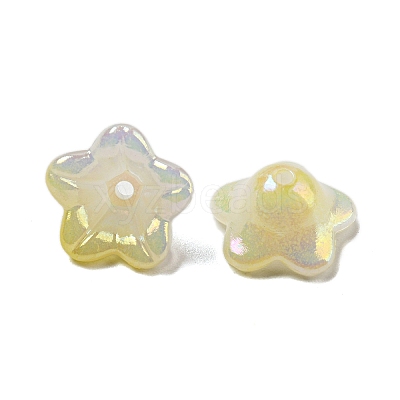 Iridescent Acrylic Bead Caps OACR-C021-08E-1