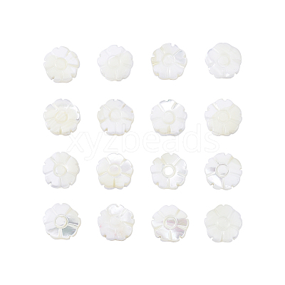 Natural Shell Beads Strands SSHEL-CJ0001-09-1