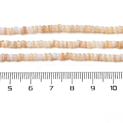 Natural Freshwater Shell Beads Strands SHEL-P017-01B-10-1