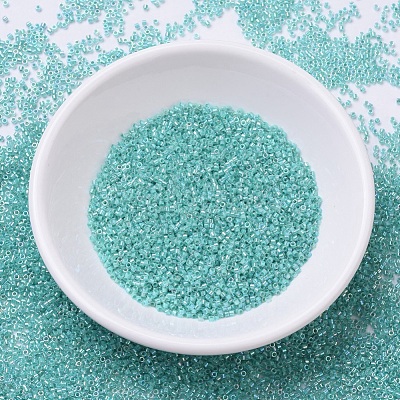 MIYUKI Delica Beads X-SEED-J020-DB0079-1